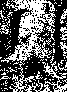Marauder pic_7.png