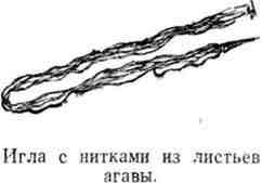 Путешествие с домашними растениями pic_49.jpg