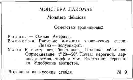 Путешествие с домашними растениями pic_80.jpg