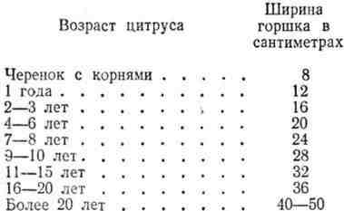 Путешествие с домашними растениями pic_169.jpg
