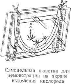 Путешествие с домашними растениями pic_236.jpg