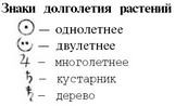 Путешествие с домашними растениями pic_34.jpg