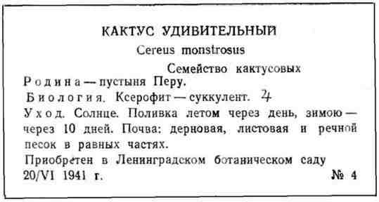 Путешествие с домашними растениями pic_35.jpg