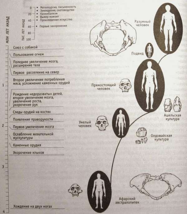 Непослушное дитя биосферы. Беседа первая и вторая doc2fb_image_02000019.jpg