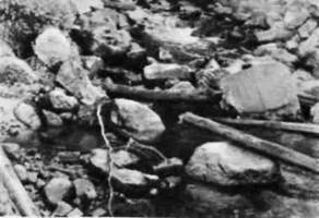 Фотокомпозиция f-006.jpg