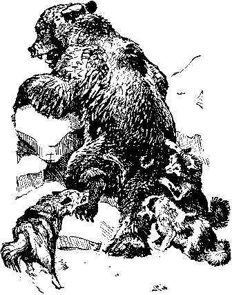 Плутония. Земля Санникова doc2fb_image_03000040.png