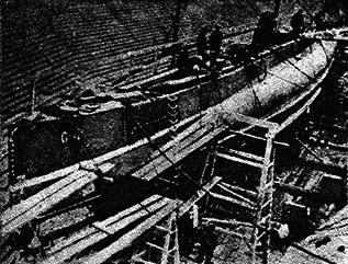 Всемирный следопыт, 1931 № 04 _03_posharu1.png