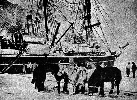 Всемирный следопыт, 1931 № 04 _30_str152.png