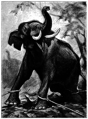 Всемирный следопыт, 1927 № 08 i_030.png