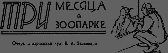 Всемирный следопыт, 1929 № 10 _19_vzoo.png