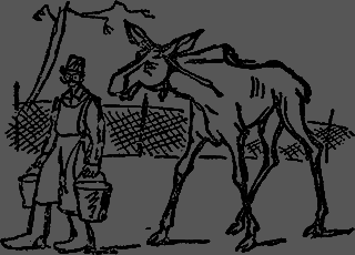 Всемирный следопыт, 1929 № 10 _21_str766.png