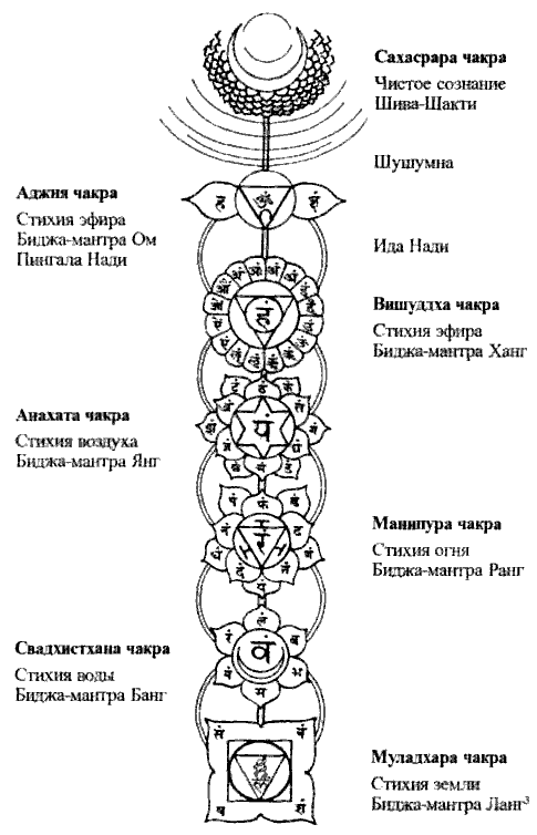 Пранаяма. Сознательный способ дыхания. book33.png