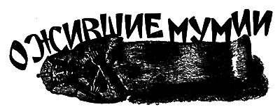 Всемирный следопыт, 1927 № 05 i_027.png