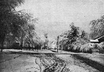 Всемирный следопыт, 1927 № 05 i_040.jpg