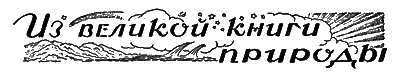Всемирный следопыт, 1927 № 05 i_044.png
