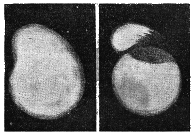 Всемирный следопыт, 1925 № 07 nonjpegpng__400PNGSHIR0006.png