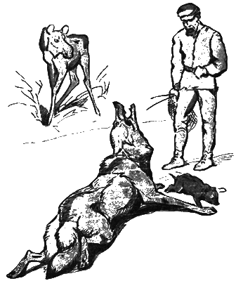 Всемирный следопыт, 1925 № 07 nonjpegpng__400PNGVYS0000.png_0