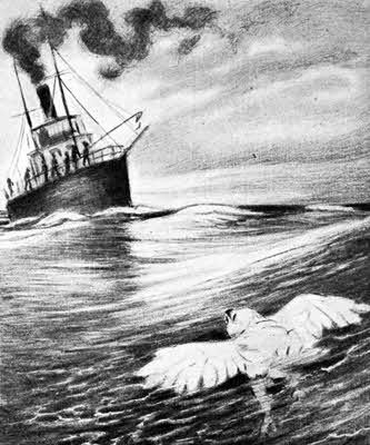 Всемирный следопыт, 1927 № 10 i_023.jpg