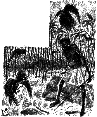 Всемирный следопыт, 1927 № 10 i_027.png