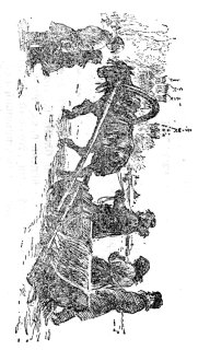Пошехонская старина _387.jpg