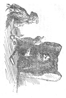 Пошехонская старина _094.jpg