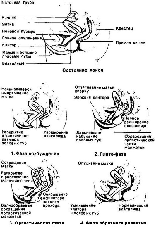 Женская сексопатология i_001.jpg