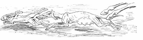 Aventures Et Mésaventures Du Baron De Münchhausen (illustre) pic_23.jpg