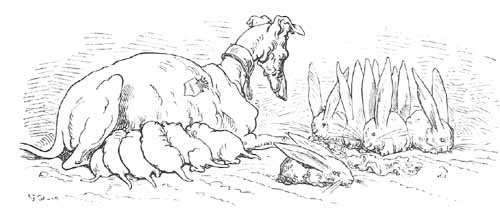 Aventures Et Mésaventures Du Baron De Münchhausen (illustre) pic_27.jpg