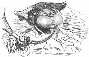 Aventures Et Mésaventures Du Baron De Münchhausen (illustre) pic_37.jpg