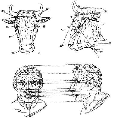 Русская расовая теория до 1917 года. Том 1 i_053.png