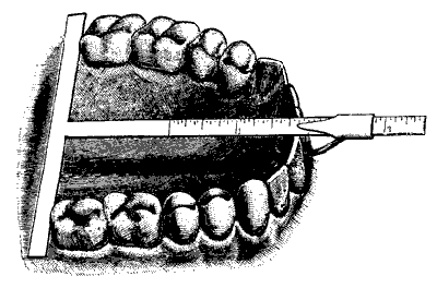 Русская расовая теория до 1917 года. Том 1 i_063.png