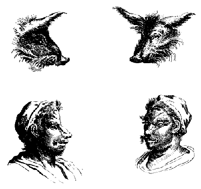 Русская расовая теория до 1917 года. Том 1 i_066.png