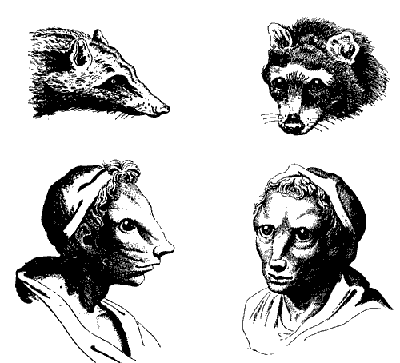 Русская расовая теория до 1917 года. Том 1 i_073.png