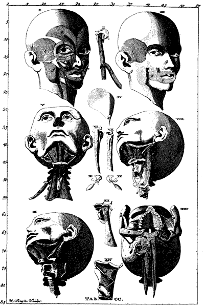 Русская расовая теория до 1917 года. Том 1 i_034.png