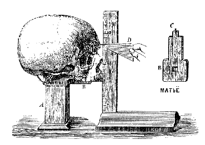 Русская расовая теория до 1917 года. Том 1 i_040.png