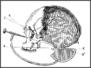 Русская расовая теория до 1917 года. Том 1 i_041.png