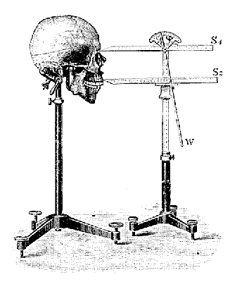 Русская расовая теория до 1917 года. Том 1 i_046.png