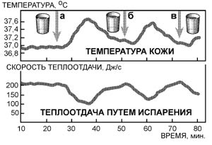 Моя система здоровья img_2.jpg
