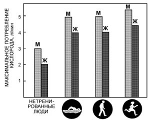 Моя система здоровья img_6.jpg