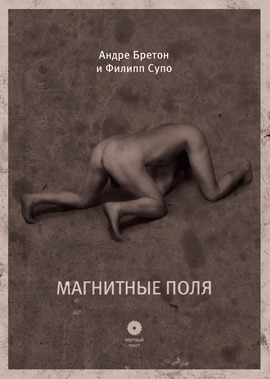 Магнитные поля