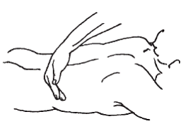 Массаж при заболеваниях опорно-двигательного аппарата pic_30.png