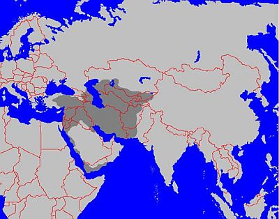 Нашествие. Хазарское безумие i_082.jpg