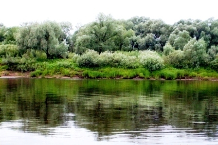 По обе стороны реки i_011.jpg
