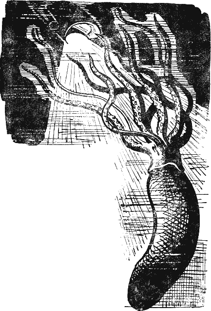 Глубокий поиск i_002.png