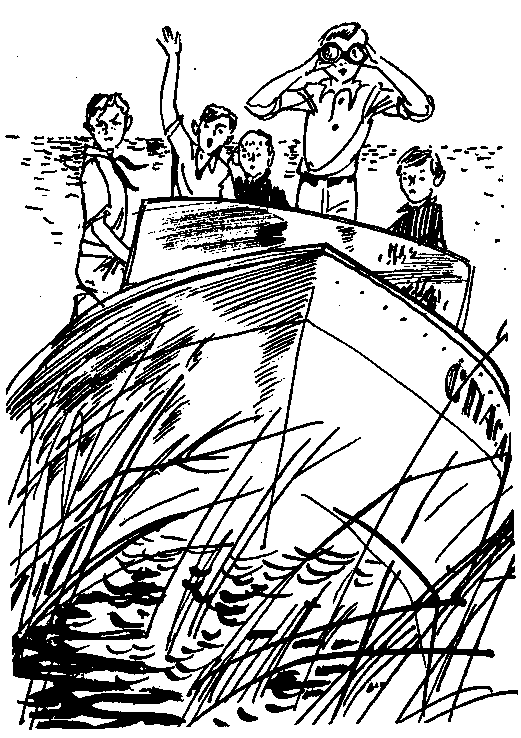 Президент Каменного острова. Дилогия (с илл.) pic_10.png