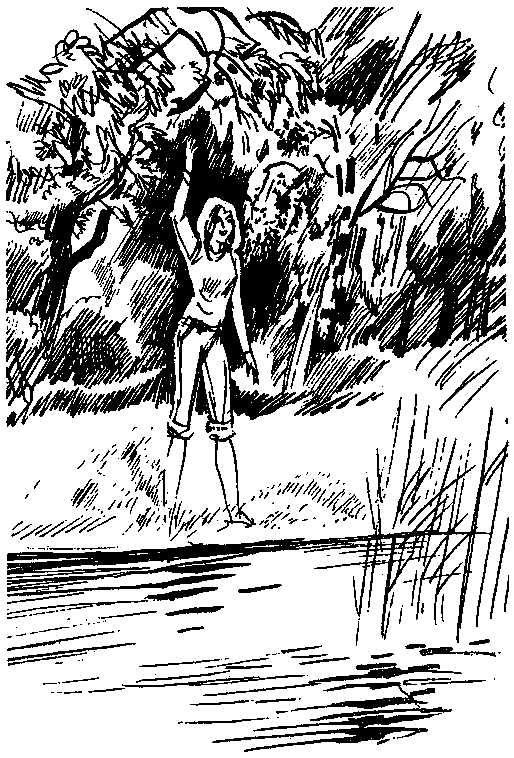 Президент Каменного острова. Дилогия (с илл.) pic_25.png
