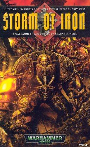 Storm of Iron cover.jpg