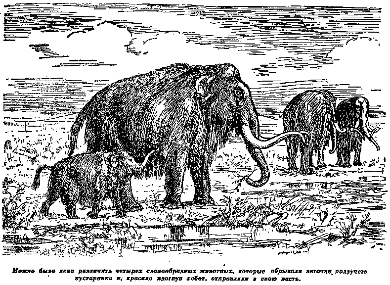 Плутония. Необычайное путешествие в недра земли pic_13.png