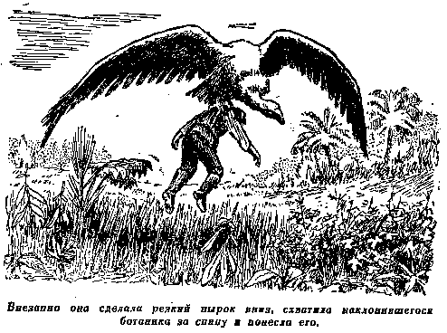 Плутония. Необычайное путешествие в недра земли pic_17.png