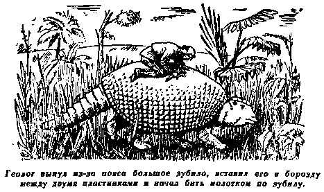 Плутония. Необычайное путешествие в недра земли pic_18.png